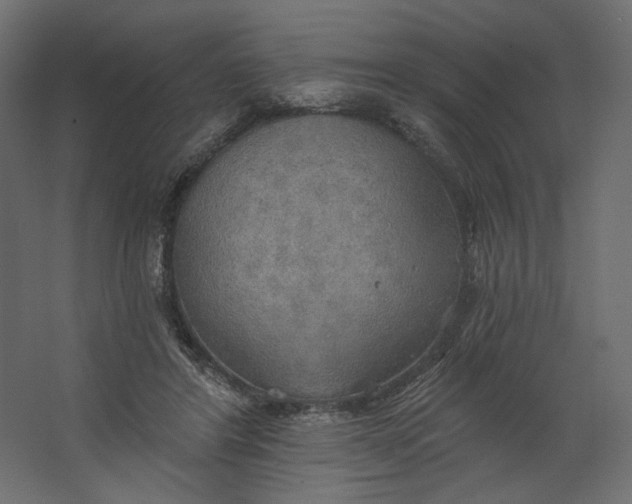 X0000067470404200604211612