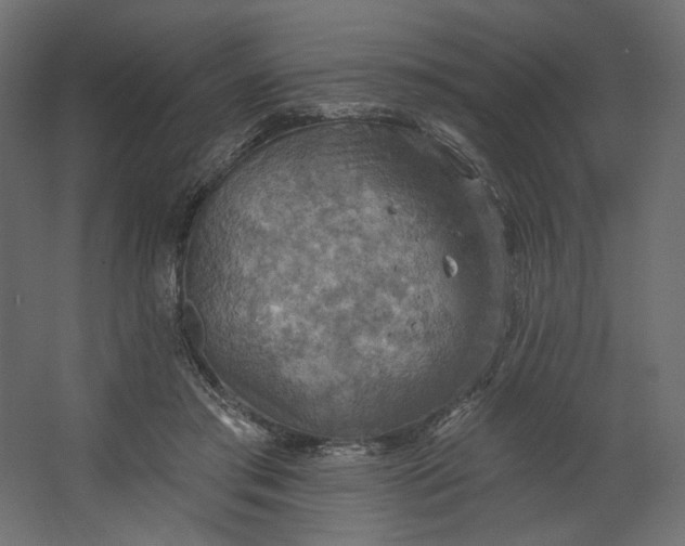 X0000067470405200604211612