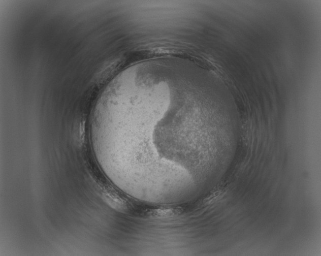 X0000067470406200604211612