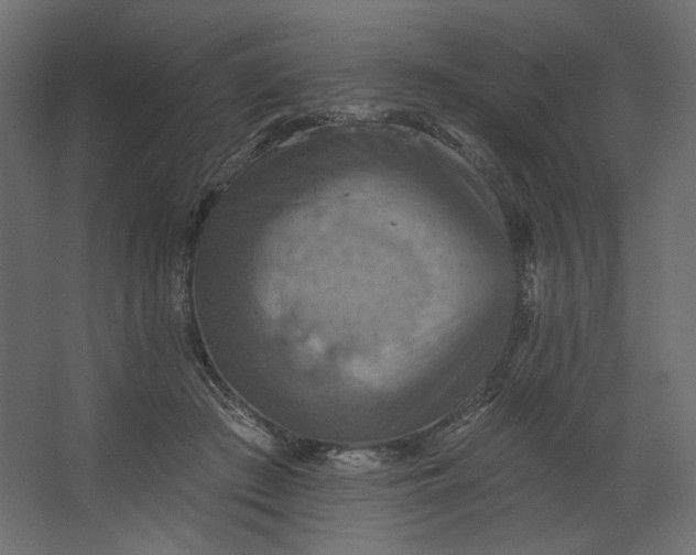 X0000067470409200604211612