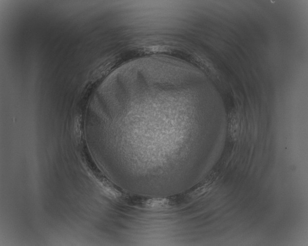 X0000067470410200604211612