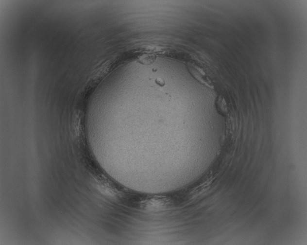 X0000067470412200604211612