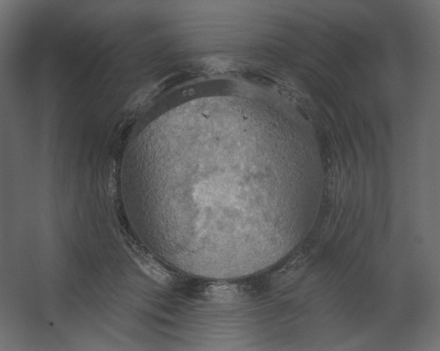 X0000067470413200604211612