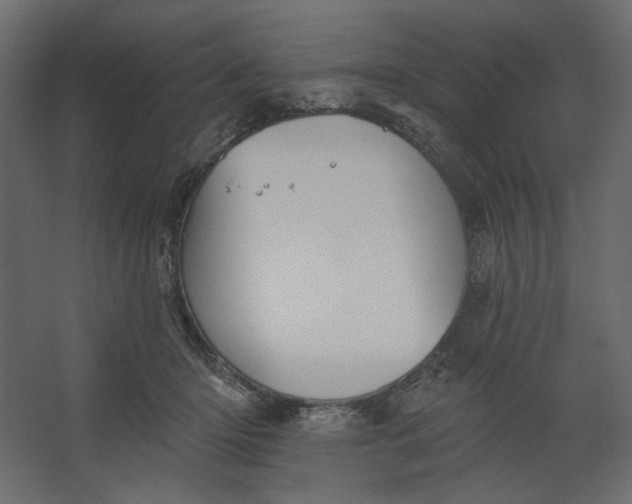 X0000067470414200604211612