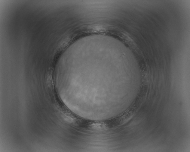 X0000067470415200604211612