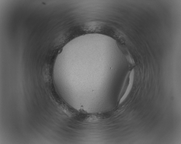 X0000067470416200604211612