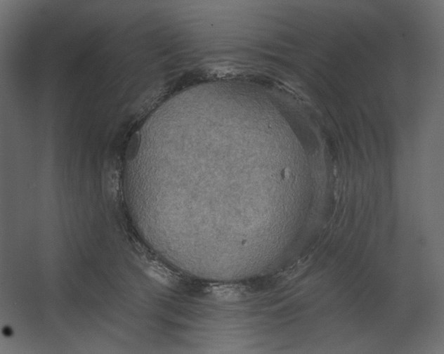 X0000067470417200604211612