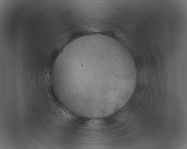 X0000067470418200604211612