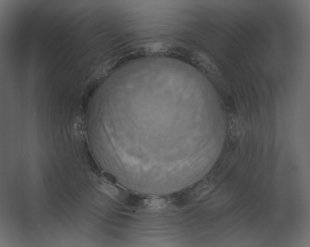 X0000067470419200604211612