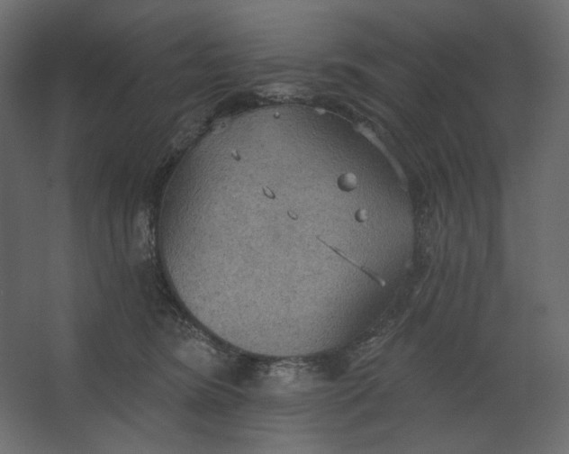 X0000067470420200604211612