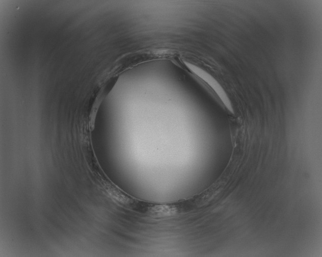 X0000067470421200604211612