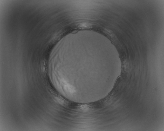 X0000067470423200604211612