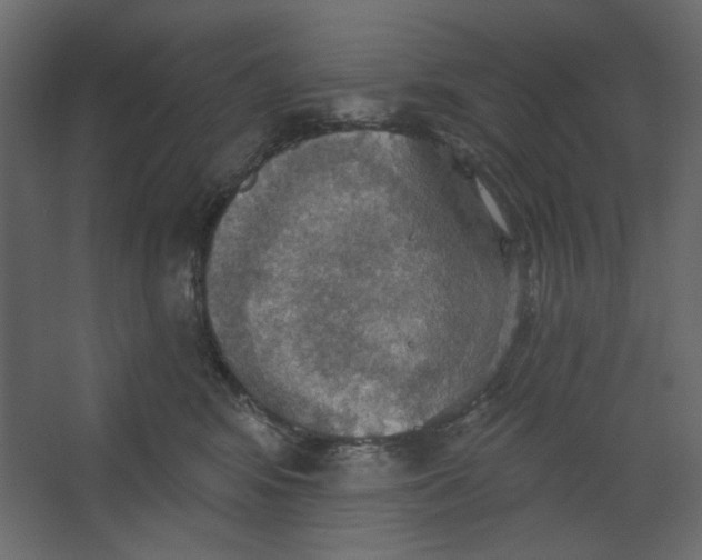 X0000067470424200604211612