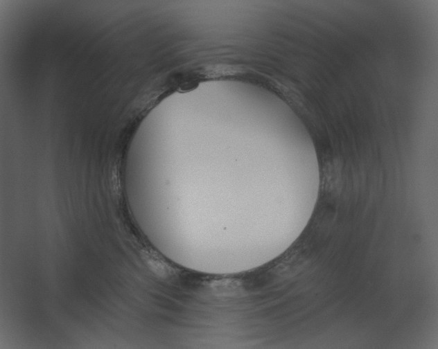 X0000067470426200604211612