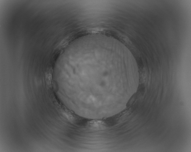 X0000067470427200604211612