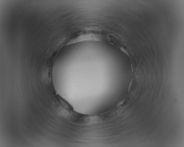 X0000067470428200604211612