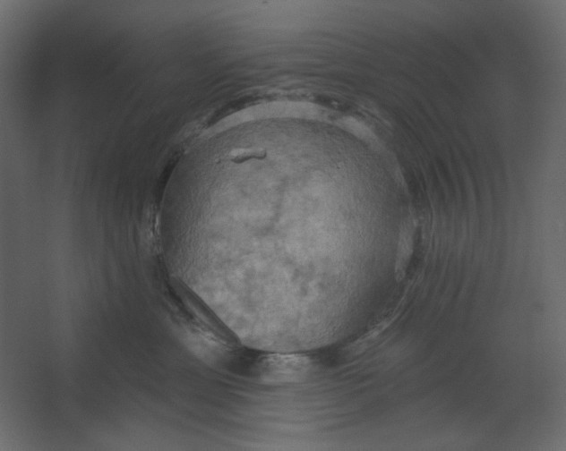 X0000067470429200604211612