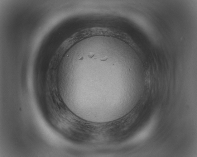 X0000067470431200604211612