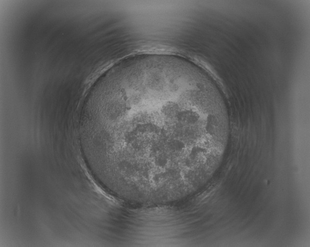 X0000067470433200604211611