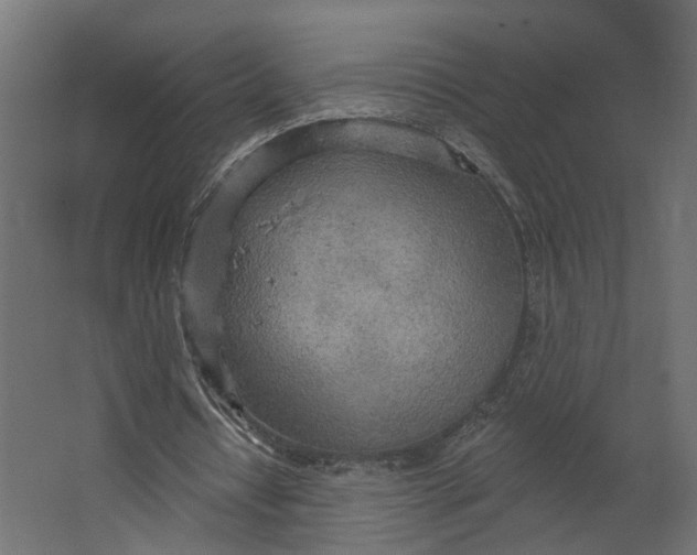 X0000067470434200604211611