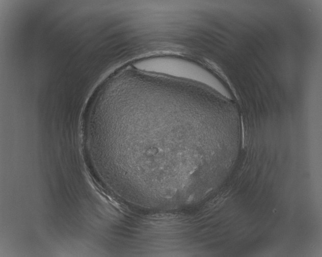 X0000067470435200604211611