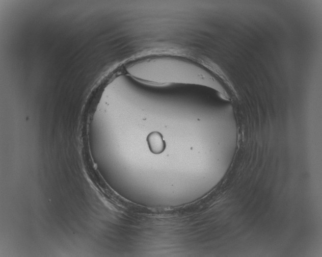 X0000067470436200604211611