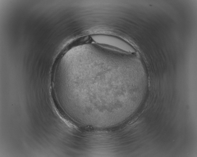 X0000067470438200604211611