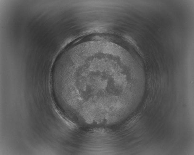 X0000067470439200604211611