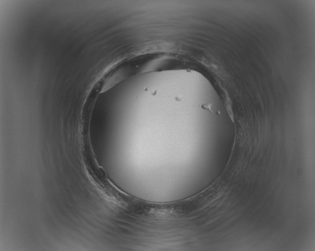 X0000067470440200604211611