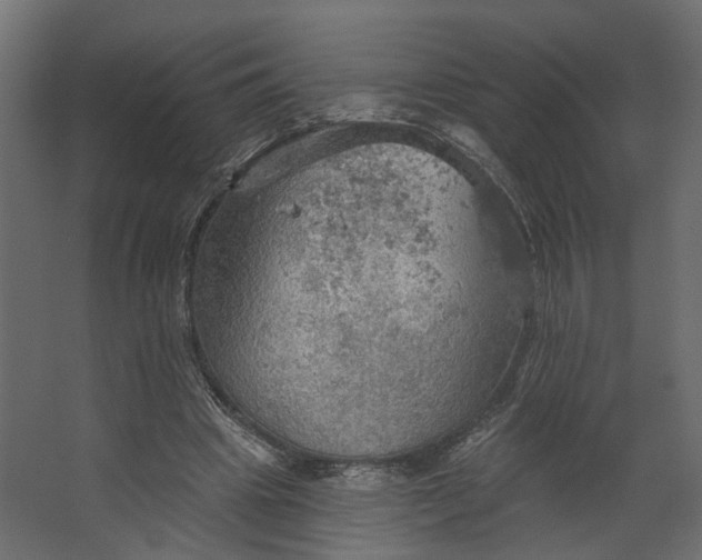 X0000067470441200604211611