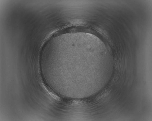 X0000067470442200604211611