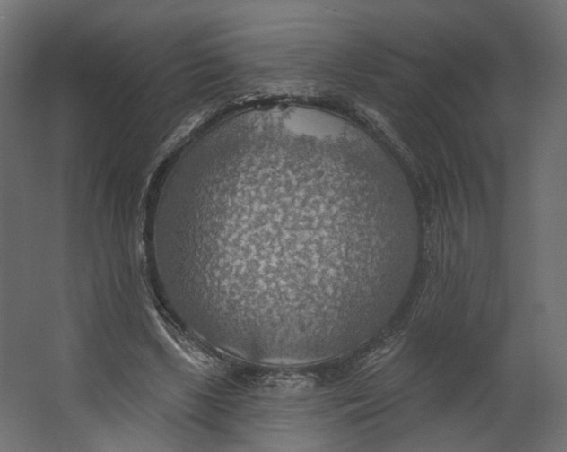 X0000067470443200604211611