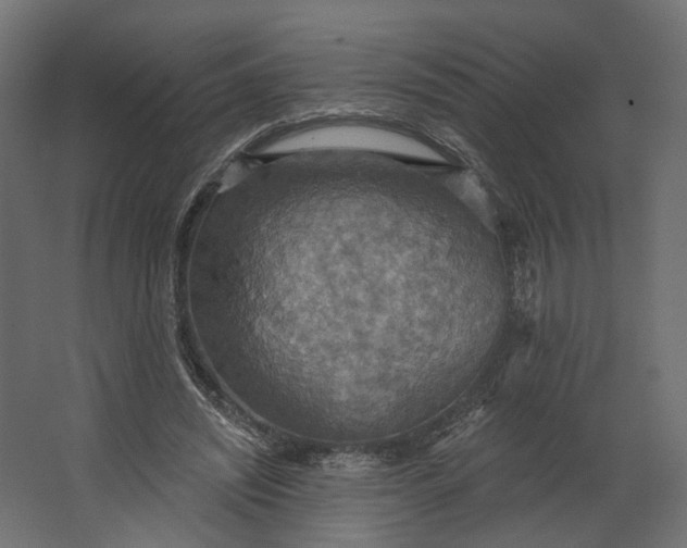 X0000067470444200604211611