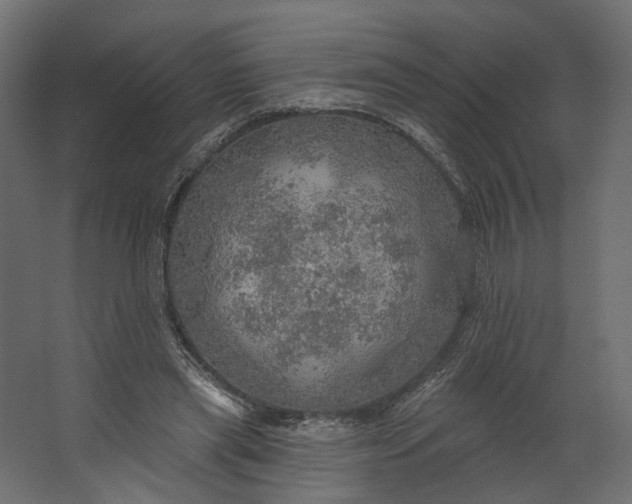 X0000067470445200604211611