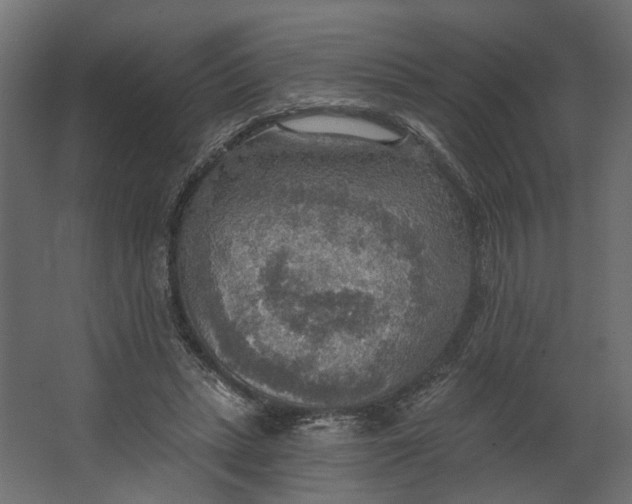 X0000067470447200604211611