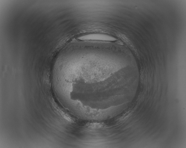 X0000067470449200604211611