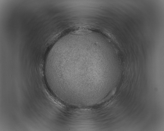 X0000067470450200604211611