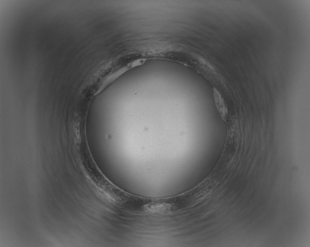 X0000067470452200604211611