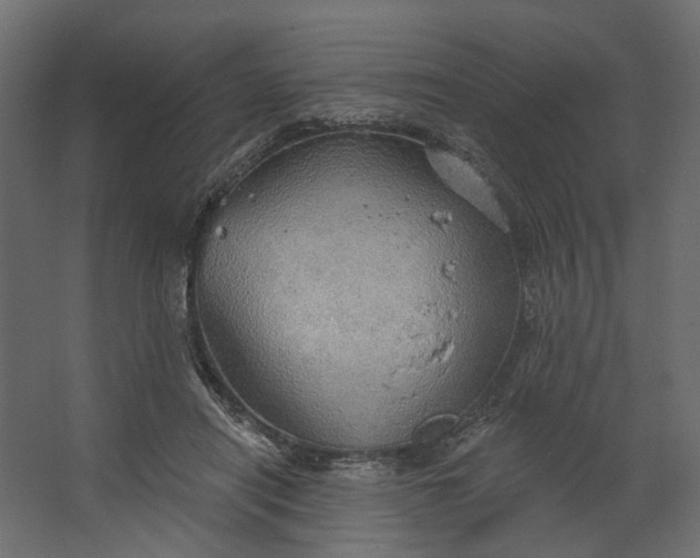 X0000067470454200604211611