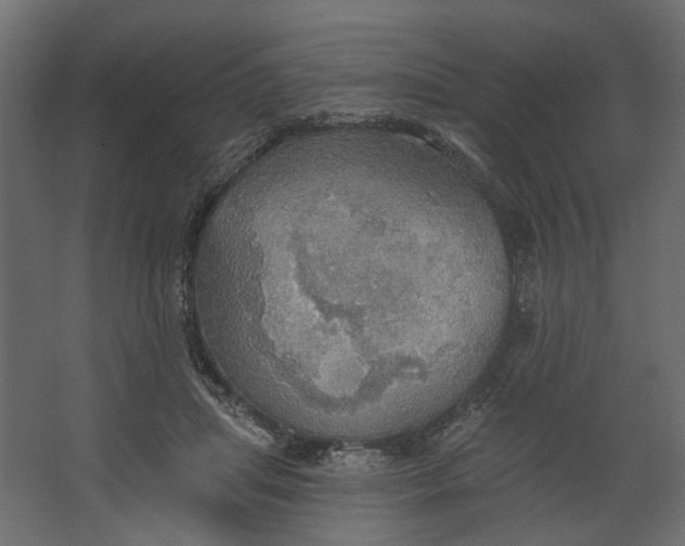 X0000067470455200604211611