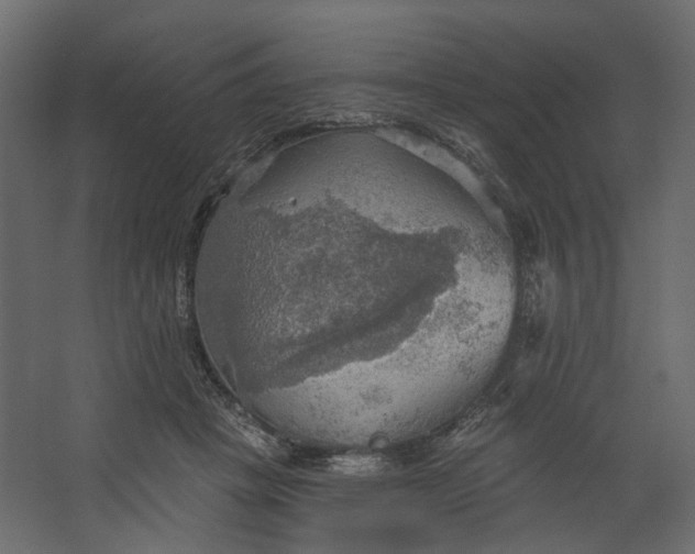 X0000067470457200604211611