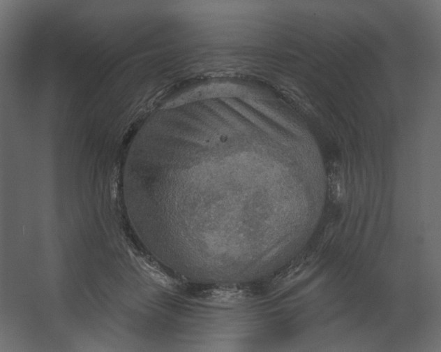 X0000067470458200604211611