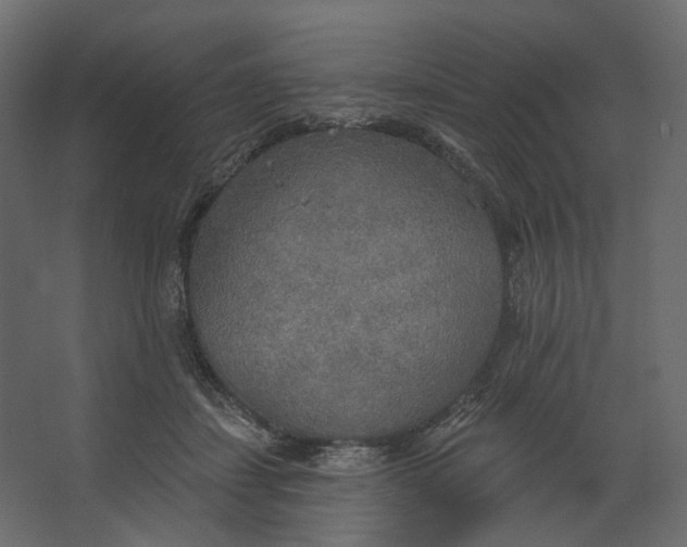 X0000067470459200604211611