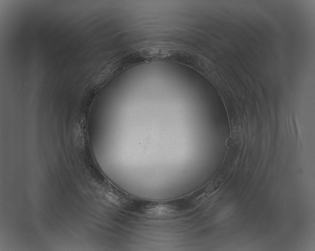 X0000067470460200604211611