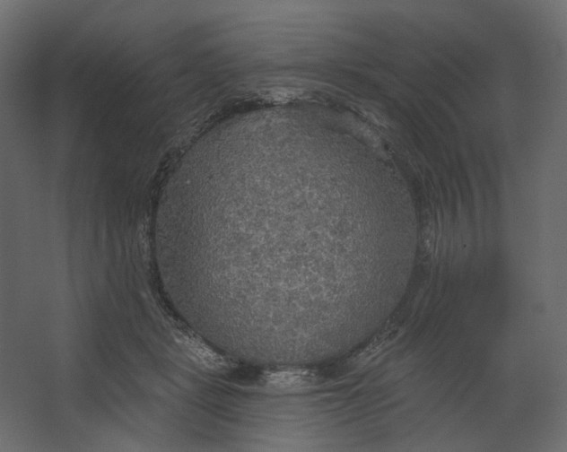 X0000067470461200604211611