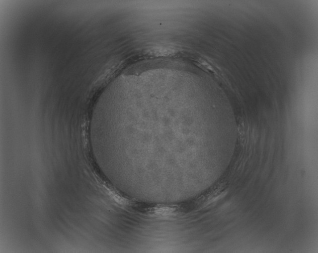 X0000067470462200604211611