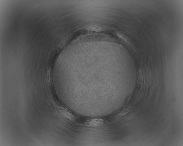 X0000067470463200604211611