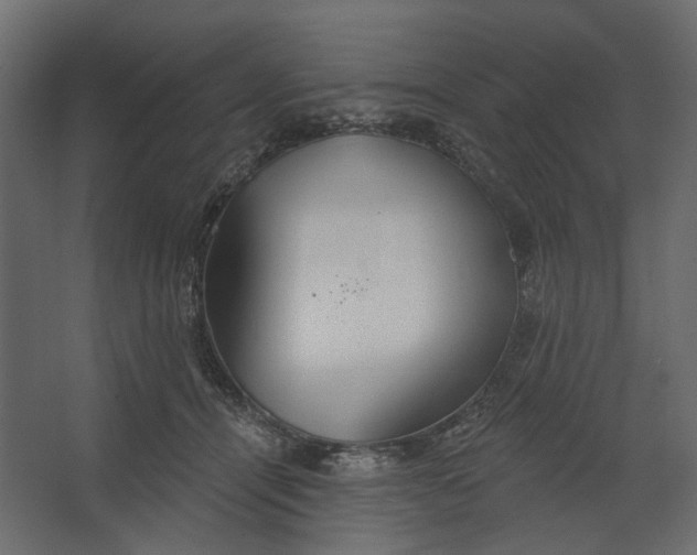 X0000067470464200604211611