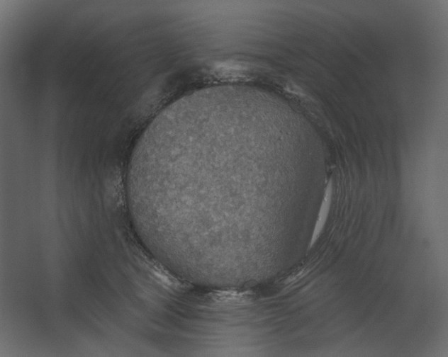 X0000067470465200604211611