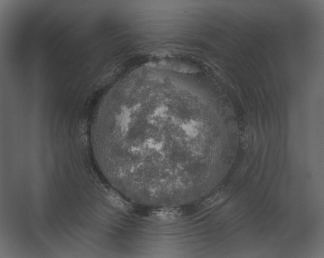 X0000067470466200604211611